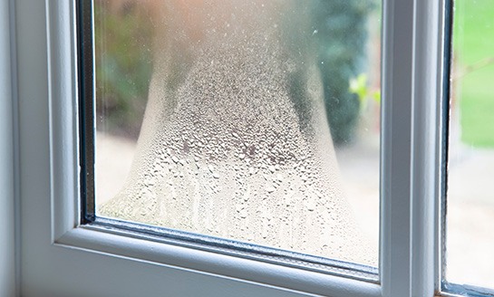 Condensation on windows